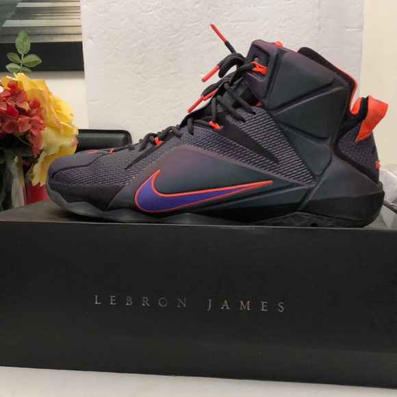 Nike Other - NIKE LEBRON JAMES XII INSTINCT BASKETBALL SNEAKERS MENS SIZE 15